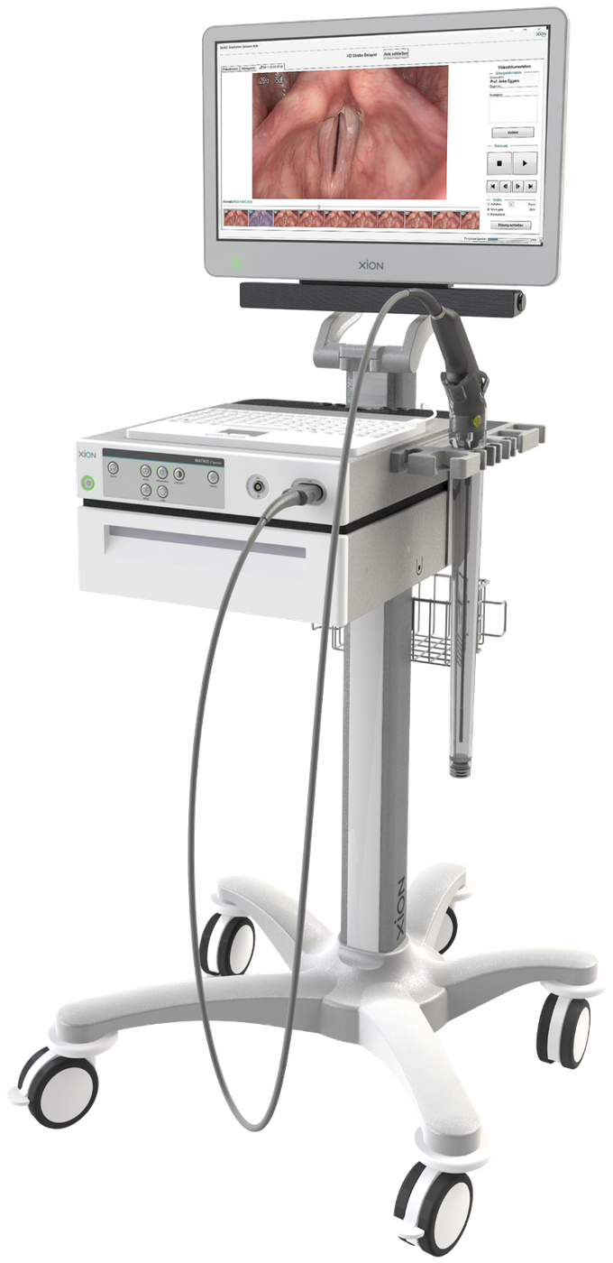 EndoFLEX Spectar